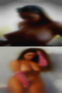 Palm adult personals Bay horny women.